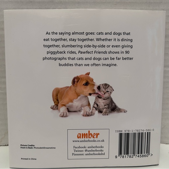 2 HARDCOVER books: Pawfect Friends and Kitty Love: How Cute Kittens Play - Picture 7 of 11